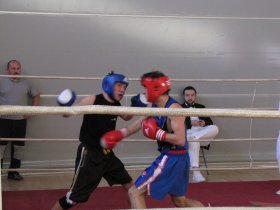 Boksarska liga Slovenska Bistrica 2009